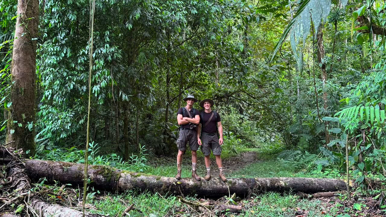 Paisaje del Parque Nacional Corcovado